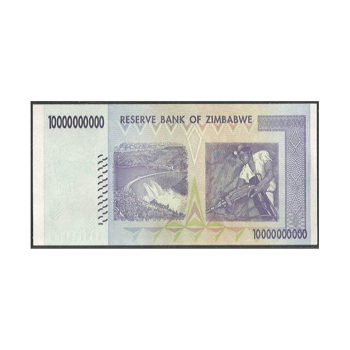 Zimbabwe 10.000.000.000 Dollars 5 Nov 2008 P85 reverso