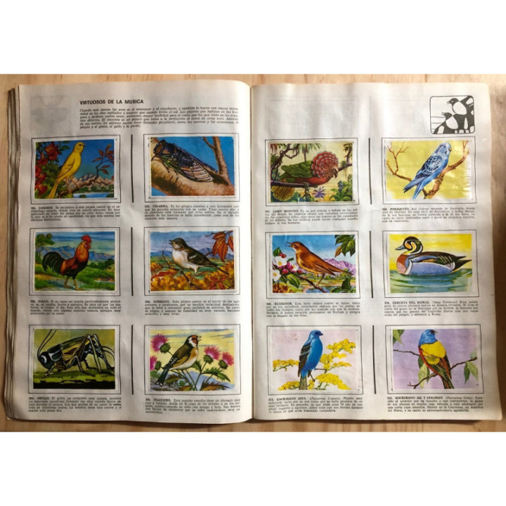 JET Historia Natural 1 reverso