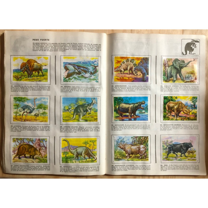 JET Historia Natural 1 reverso