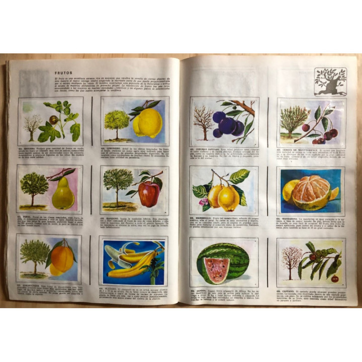 JET Historia Natural 1 reverso