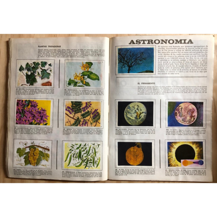 JET Historia Natural 1 reverso