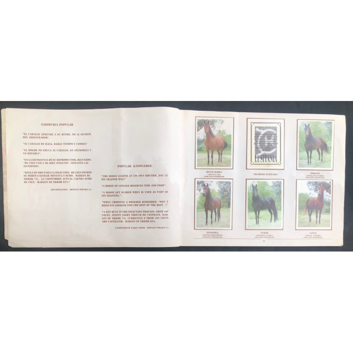 Caballos de Paso de América Al Galope reverso