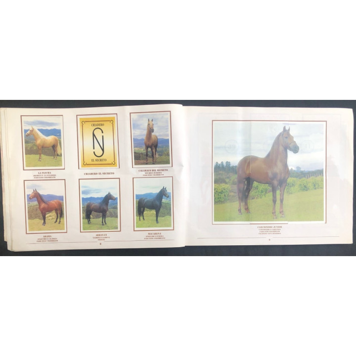 Caballos de Paso de América Al Galope reverso