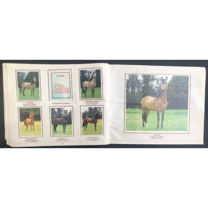 Caballos de Paso de América Al Galope reverso