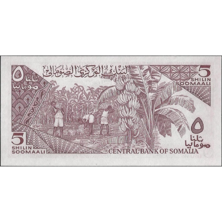 Somalia,5 Shillings 1983 P31a