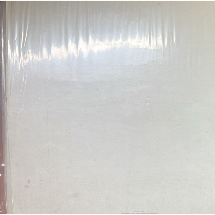 The Beatles - White Album (2 Vinilos) reverso