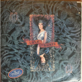 Cher - Love Hurts