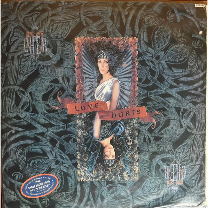 Cher - Love Hurts
